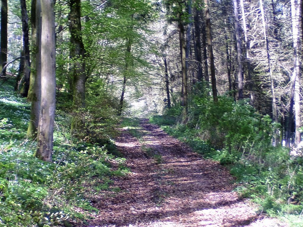 Landferien Eifel Pittenbach Exterior foto