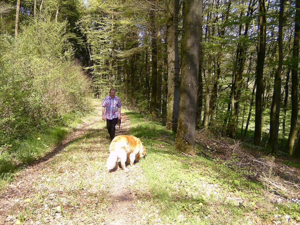 Landferien Eifel Pittenbach Exterior foto