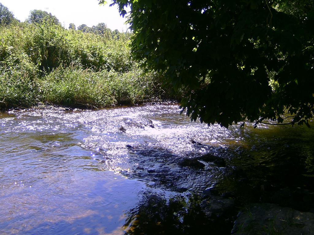 Landferien Eifel Pittenbach Exterior foto